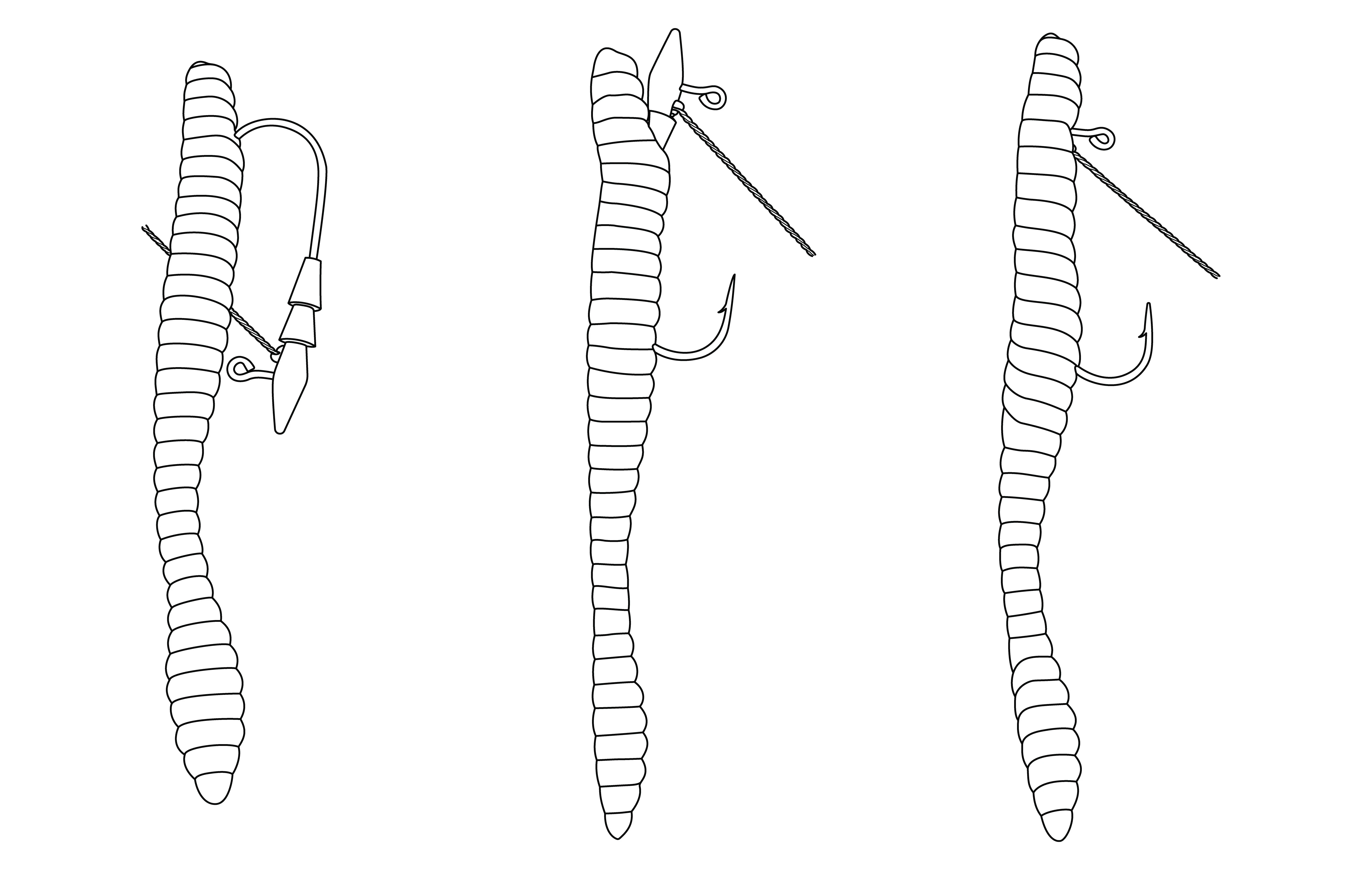 Core Tackle The Hover Rig Weedless - 3 pack