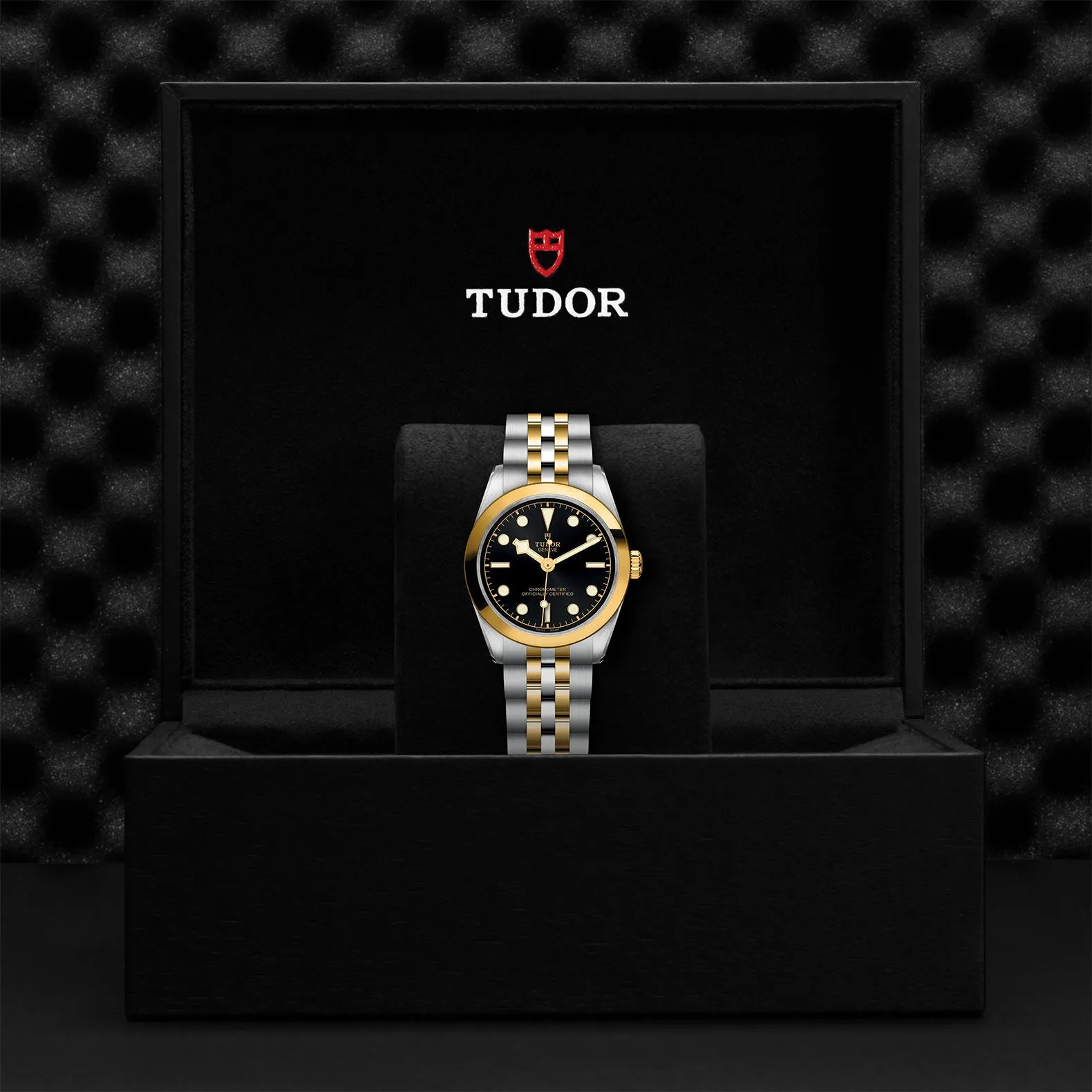 TUDOR Black Bay 31 SG